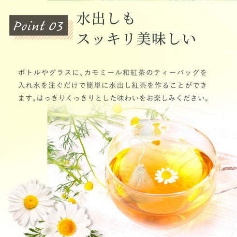 洋甘菊 x 日本紅茶茶包 2.5g x 35p